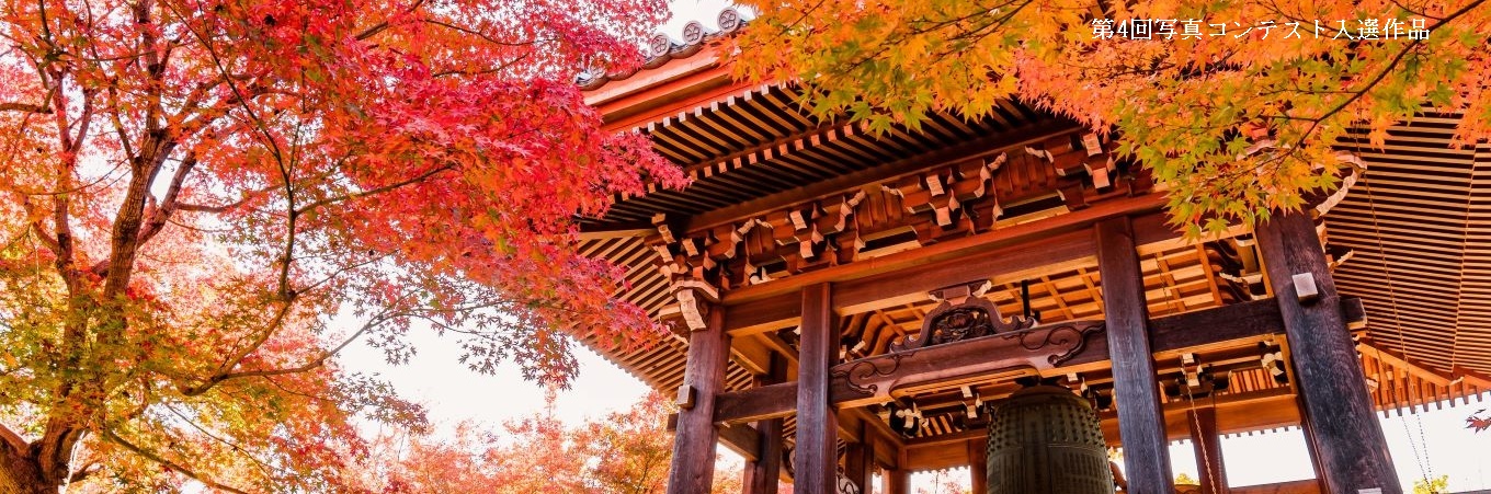 庭園　庭　京都　京都観光　はなまっぷ　紅葉