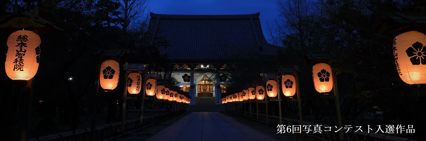 京都観光　お寺　写真コンテスト